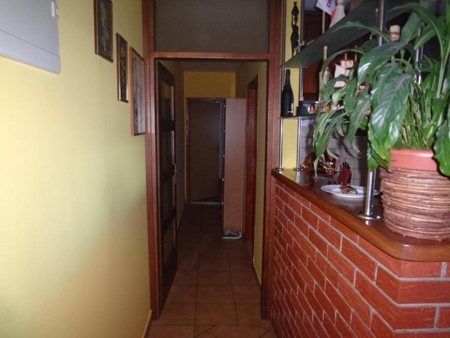 Apartament Lucin 2 Preko Zewnętrze zdjęcie